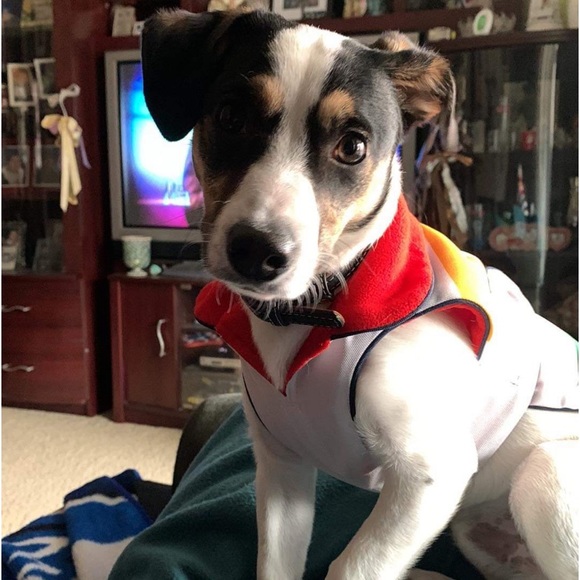 Meet your Posher, Kecia - Picture 1 of 1